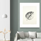 Black & White Palm I by Patti Mann on GIANT ART - grey botany