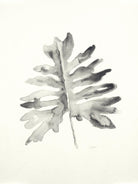 Black & White Palm II by Patti Mann on GIANT ART - grey botany