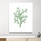 Sea Coral I V1 by Patti Mann on GIANT ART - blacks organic shapes