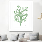 Sea Coral I V1 by Patti Mann on GIANT ART - blacks organic shapes