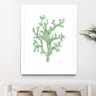 Sea Coral I V1 by Patti Mann on GIANT ART - blacks organic shapes