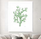 Sea Coral I V1 by Patti Mann on GIANT ART - blacks organic shapes