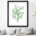 Sea Coral I V1 by Patti Mann on GIANT ART - blacks organic shapes