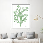 Sea Coral I V1 by Patti Mann on GIANT ART - blacks organic shapes