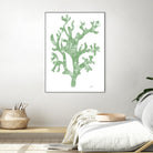 Sea Coral I V1 by Patti Mann on GIANT ART - blacks organic shapes