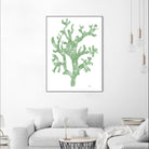 Sea Coral I V1 by Patti Mann on GIANT ART - blacks organic shapes