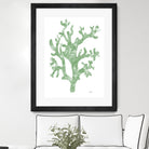 Sea Coral I V1 by Patti Mann on GIANT ART - blacks organic shapes