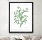 Sea Coral I V1 by Patti Mann on GIANT ART - blacks organic shapes