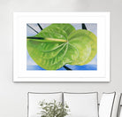 ANTHURIUM by LINDA STELLING on GIANT ART - blue floral tropical floral