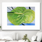 ANTHURIUM by LINDA STELLING on GIANT ART - blue floral tropical floral