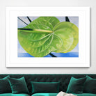 ANTHURIUM by LINDA STELLING on GIANT ART - blue floral tropical floral