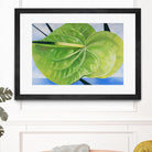 ANTHURIUM by LINDA STELLING on GIANT ART - blue floral tropical floral