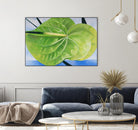 ANTHURIUM by LINDA STELLING on GIANT ART - blue floral tropical floral