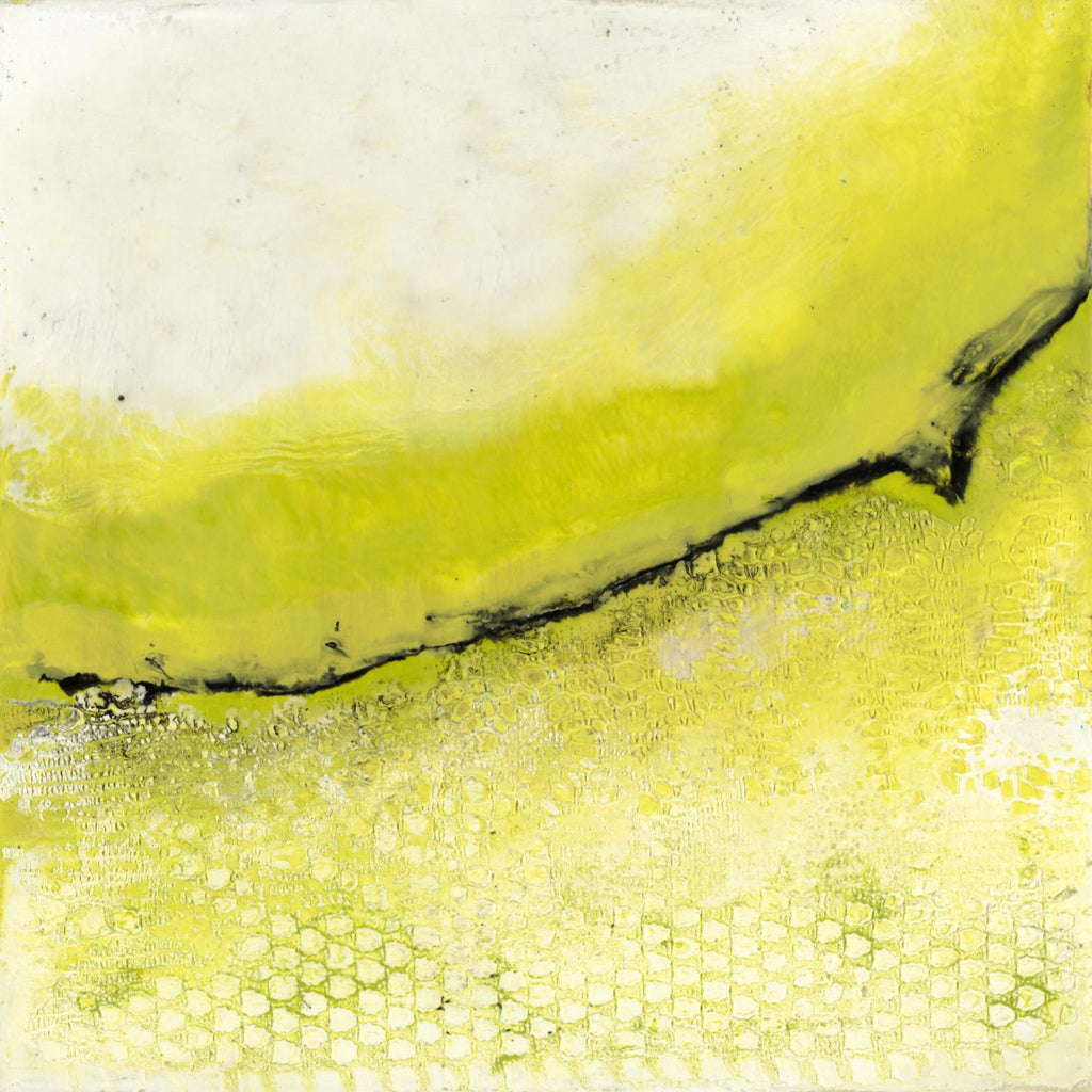 Lime Poppy de Laura Van Horne sur GIANT ART - abstrait noir