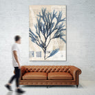 Seaweed Arrangement I by Vision Studio on GIANT ART - blue tropical