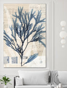 Seaweed Arrangement I by Vision Studio on GIANT ART - blue tropical