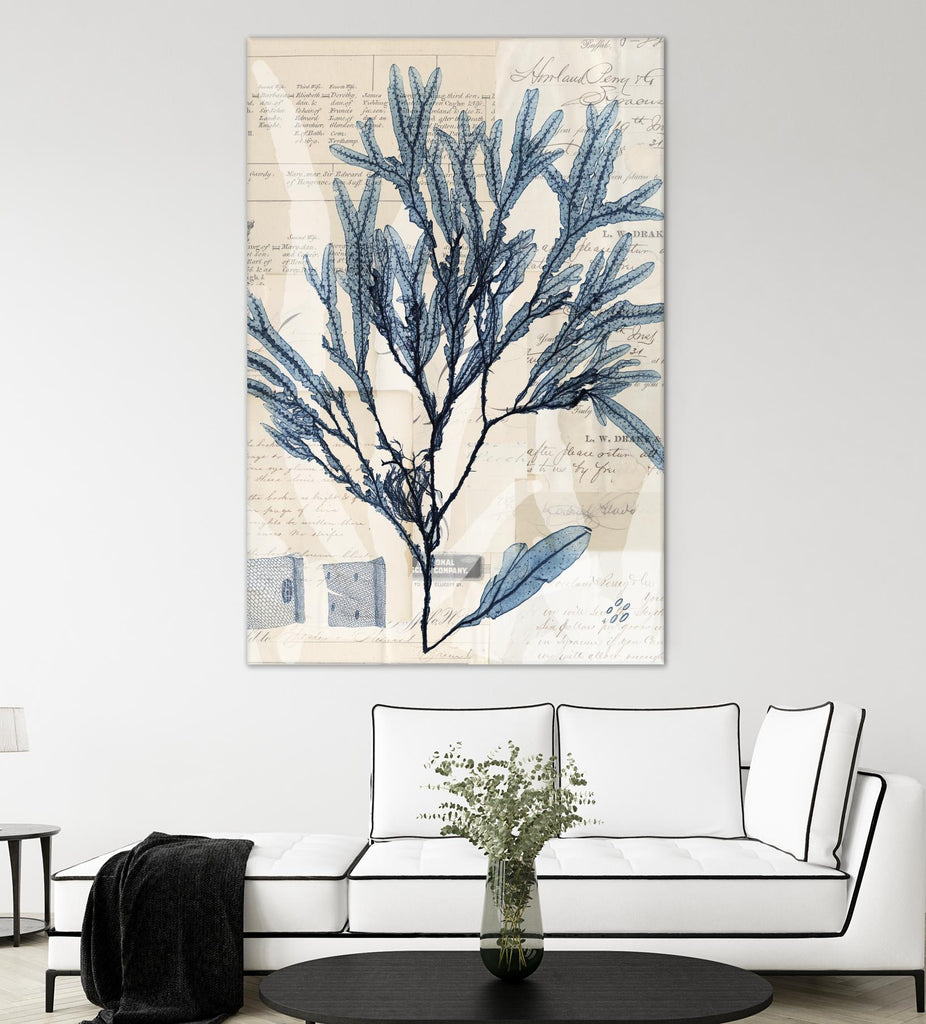 Seaweed Arrangement I by Vision Studio on GIANT ART - blue tropical