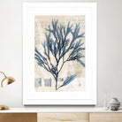 Seaweed Arrangement I by Vision Studio on GIANT ART - blue tropical