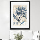 Seaweed Arrangement I by Vision Studio on GIANT ART - blue tropical
