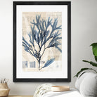 Seaweed Arrangement I by Vision Studio on GIANT ART - blue tropical