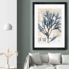 Seaweed Arrangement I by Vision Studio on GIANT ART - blue tropical