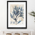 Seaweed Arrangement I by Vision Studio on GIANT ART - blue tropical