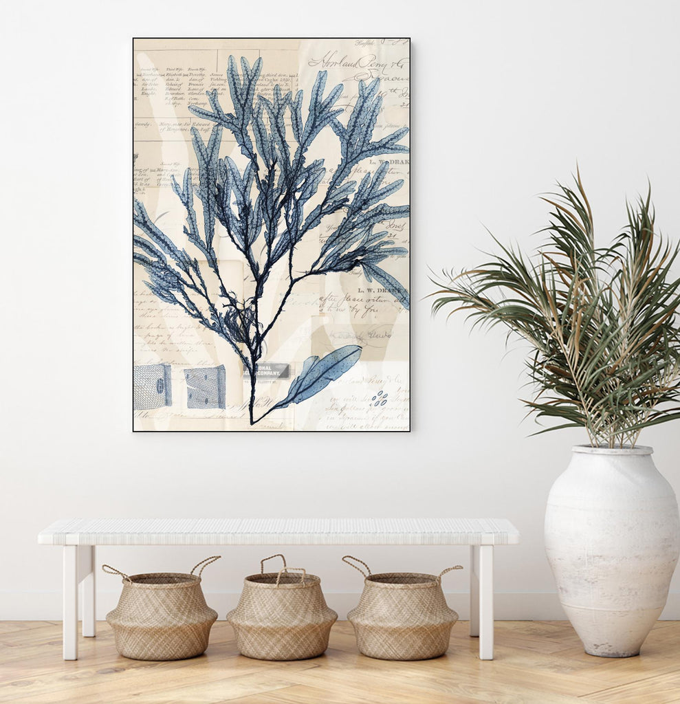 Seaweed Arrangement I by Vision Studio on GIANT ART - blue tropical