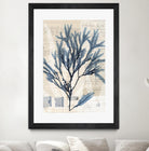 Seaweed Arrangement I by Vision Studio on GIANT ART - blue tropical