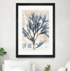 Seaweed Arrangement I by Vision Studio on GIANT ART - blue tropical