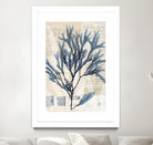 Seaweed Arrangement I by Vision Studio on GIANT ART - blue tropical