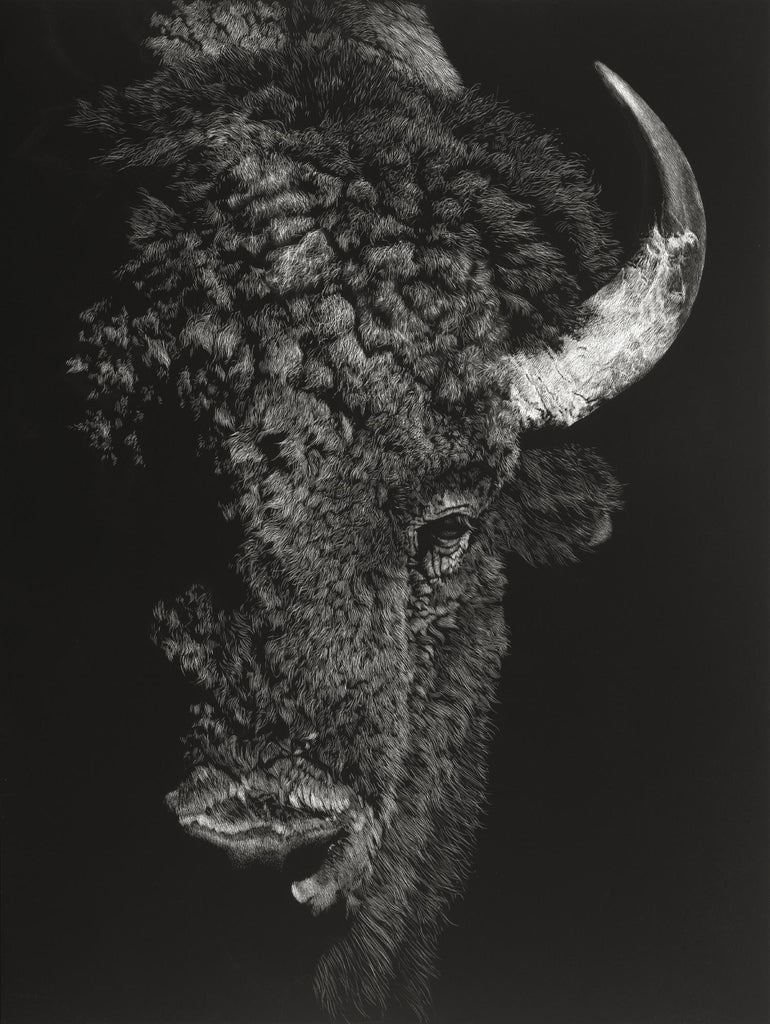 Black Glimpse I by Julie T. Chapman on GIANT ART - animals