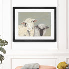 Sweet Lambs I by Jade Reynolds on GIANT ART - animals