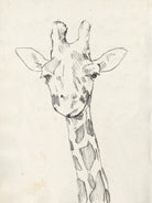 Giraffe Portrait II by Jennifer Goldberger on GIANT ART - animals