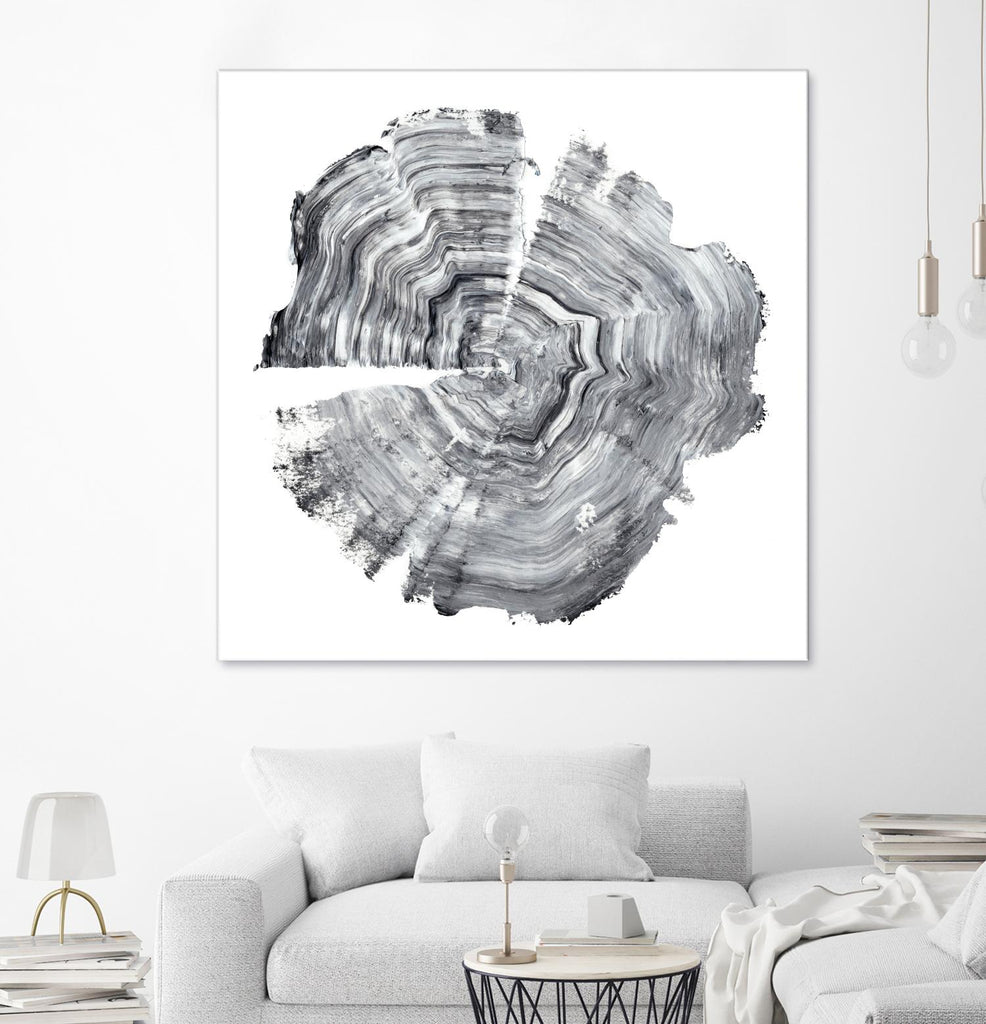 Tree Ring Abstract IV by Ethan Harper on GIANT ART - black abstract