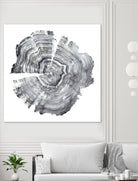 Tree Ring Abstract IV by Ethan Harper on GIANT ART - black abstract