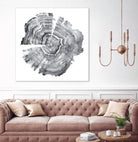 Tree Ring Abstract IV by Ethan Harper on GIANT ART - black abstract