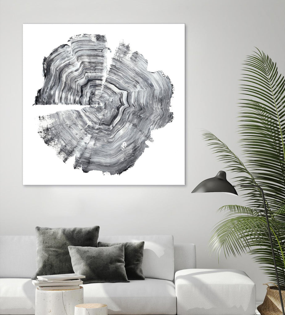 Tree Ring Abstract IV by Ethan Harper on GIANT ART - black abstract
