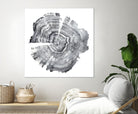 Tree Ring Abstract IV by Ethan Harper on GIANT ART - black abstract
