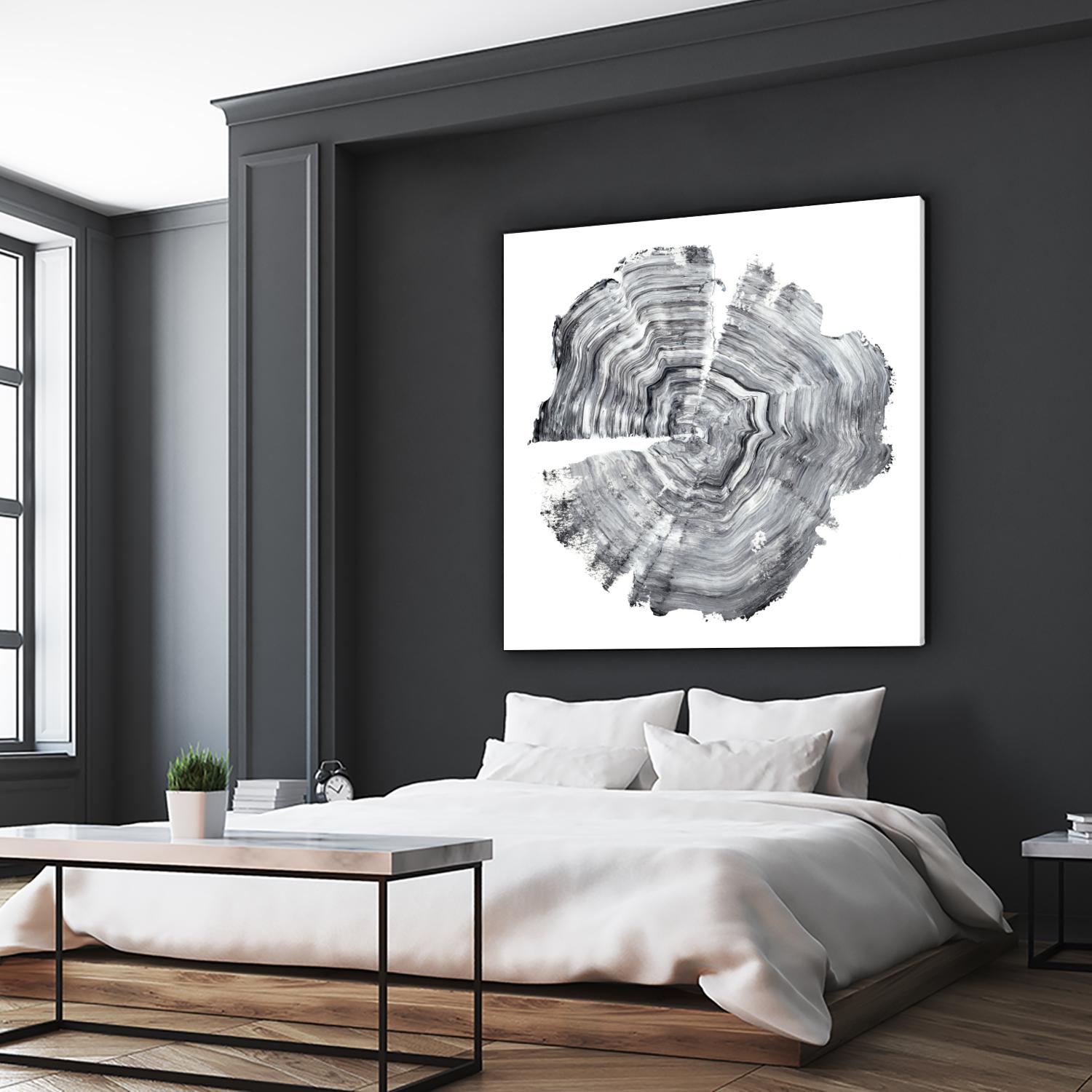 Tree Ring Abstract IV by Ethan Harper on GIANT ART - black abstract