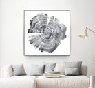 Tree Ring Abstract IV by Ethan Harper on GIANT ART - black abstract