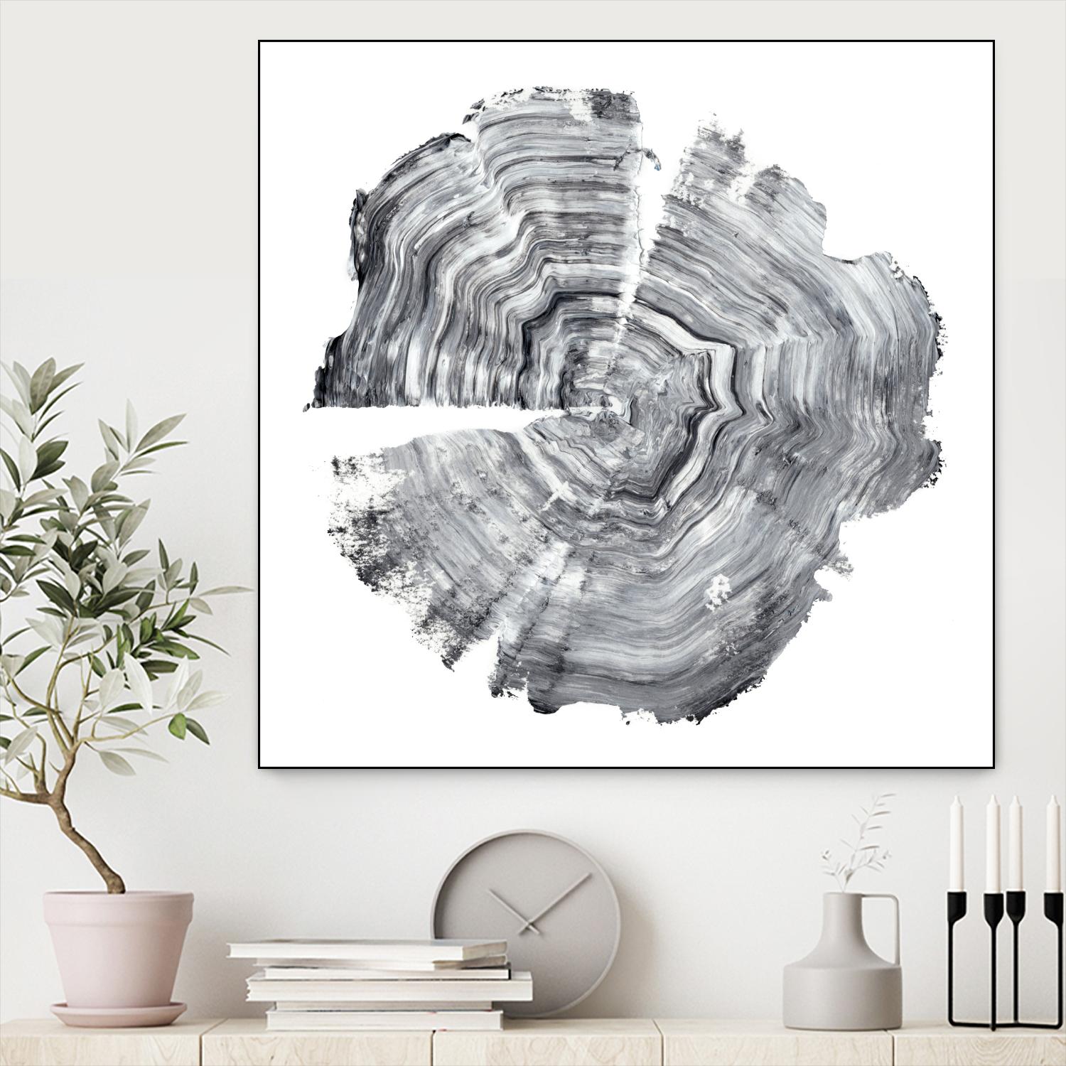 Tree Ring Abstract IV by Ethan Harper on GIANT ART - black abstract