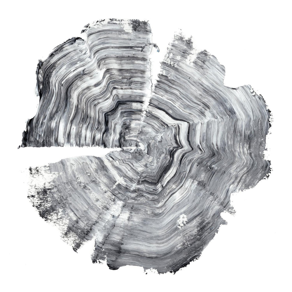 Tree Ring Abstract IV par Ethan Harper sur GIANT ART - abstrait noir