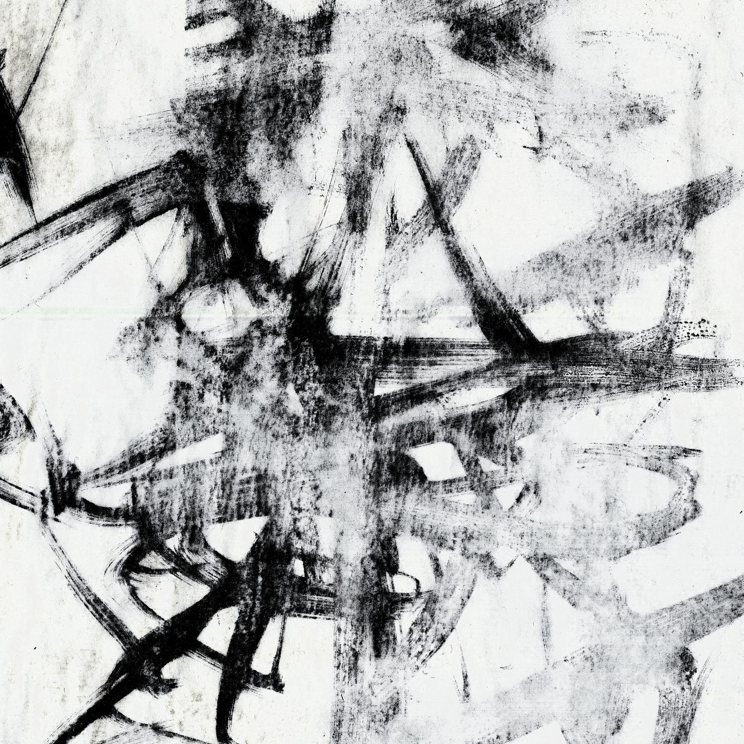 Monotype Scribble II de Jennifer Goldberger sur GIANT ART - abstrait noir