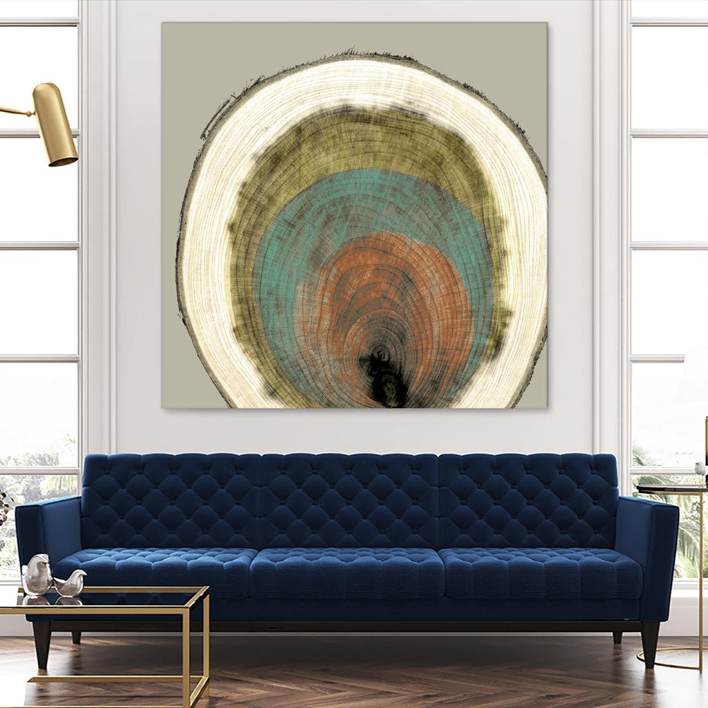 Colored Rings I by Studio W on GIANT ART - brown abstract