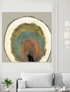 Colored Rings I by Studio W on GIANT ART - brown abstract