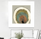 Colored Rings I by Studio W on GIANT ART - brown abstract