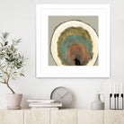 Colored Rings I by Studio W on GIANT ART - brown abstract