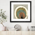 Colored Rings I by Studio W on GIANT ART - brown abstract