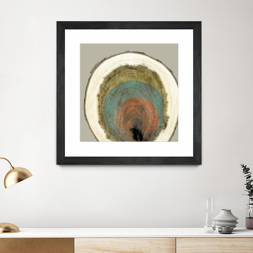 Colored Rings I by Studio W on GIANT ART - brown abstract