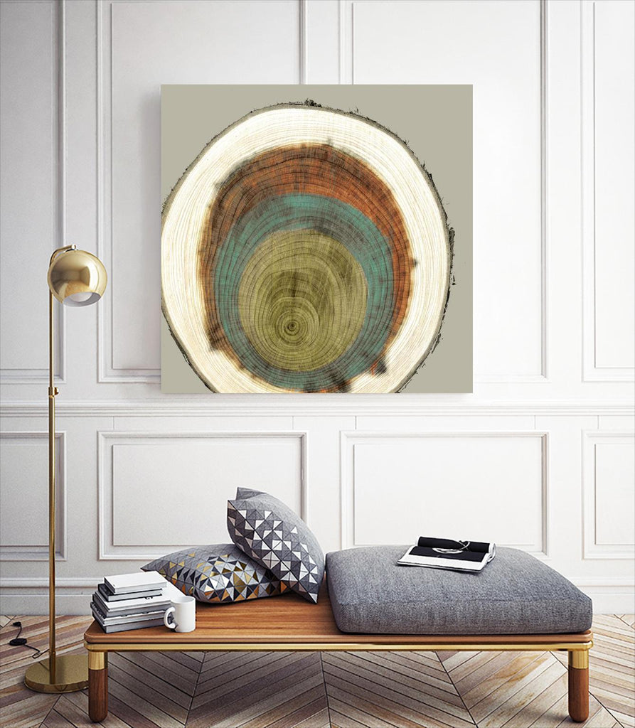 Colored Rings II by Studio W on GIANT ART - brown abstract